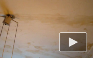 В Великом Новгороде ветеран войны живет в ужасающих условиях