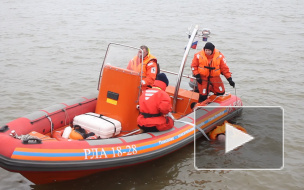Пропавшего без вести петербуржца нашли в Большой Неве
