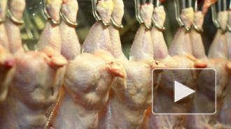 В исправительные колонии семи регионов РФ поставили наполненную гелем курятину