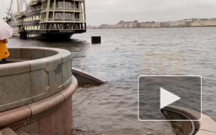 Нева в Петербурге вышла из берегов