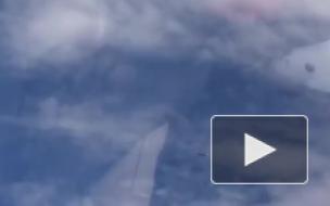 Опубликовано видео перехвата американского БПЛА MQ-9 Reaper российским истребителем Су-30