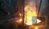 В Якутии лесной пожар подошел вплотную к поселку в Томпонском районе