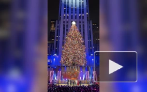 Тысячи человек пришли на церемонию зажжения огней на рождественской ели в Нью-Йорке