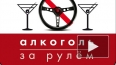 СМИ: Минздрав кроет матом водителей, пьющих за рулем
