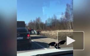 Видео: по дороге на Щеглово машина улетела в кювет