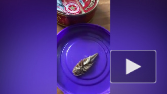 Россияне обнаружили странное существо в рыбных консервах