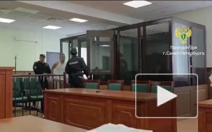 Петербуржца приговорили к 9 годам колонии за убийство в Новый год