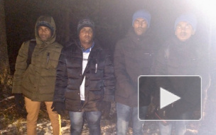 Четверо из Южной Азии хотели нелегально попасть в Финляндию