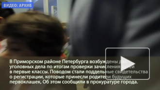 В Петербурге возбудили уголовные дела на родителей первоклассников