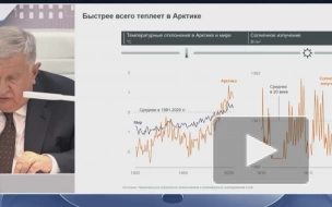 Сечин рассказал, на что опираются планы развития Севморпути