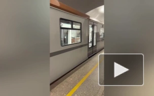 Обкат нового "Балтийца" в коричневом цвете проходит в метро Петербурга