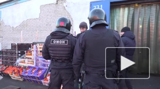 Петербургские полицейские провели миграционные рейды на двух овощебазах