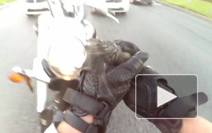 Милое видео: байкер спас птенца из-под колес на перекрестке Витебского и Орджоникидзе