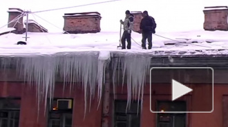Пытаясь очистить крышу ото льда, сотрудник завод упал с лестницы и разбился