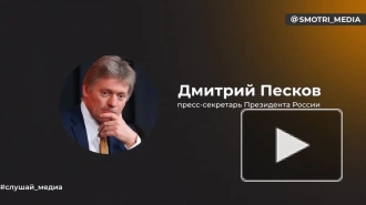 Песков: в Кремле ничего не знают о французском мирном плане