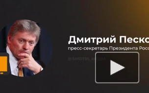 В Кремле рассказали о подготовке визита Путина в Монголию