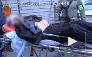 МВД задержало подозреваемого в нападении на полицейского под Воронежем