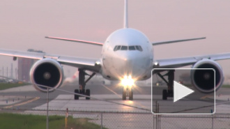 Орнитолог рассказал, как снизить вероятность столкновения самолетов с птицами