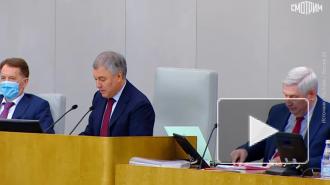 Госдума запретила чиновникам иметь зарубежный вид на жительство