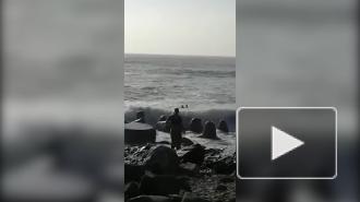 На Сахалине девушка погибла после селфи на фоне волн 