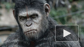 Фильм «Планета обезьян: Революция» (2014) бьет рекорды кассовых сборов