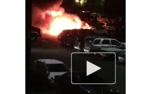 На пожаре в Вырице погибли три человека, один из них - ребенок