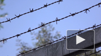 Пять экс-полицейских задержаны по делу журналиста Голунова