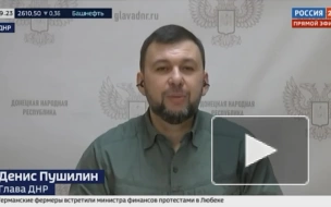 Пушилин предупредил о попытках Украины помешать выборам президента