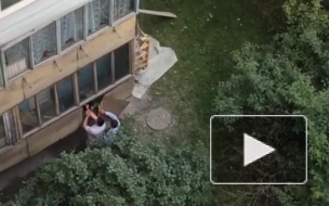 Видео: На Софийской бдительные соседи помогли полиции предотвратить "кражу"