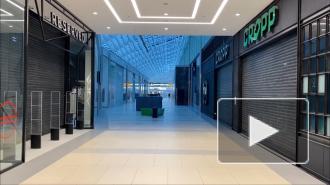 Бизнесмены требуют определенности с открытием ТЦ в Петербурге