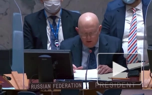 Небензя: территории Украины под контролем России не испытывают острых гуманитарных проблем
