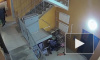 Видео: неизвестные украли маски из почтовых ящиков по Всеволожском районе