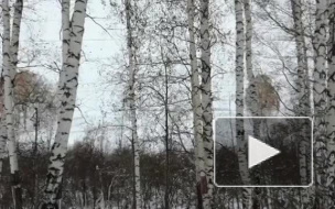 Появилось видео первых метелей в Кузбассе и Новосибирске