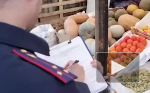 В Волгограде ребенок насмерть отравился арбузом