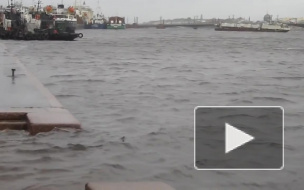 В Петербурге ожидаются снегопад и штормовой ветер