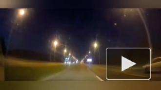 Иномарка врезалась в лося на Пулковском шоссе