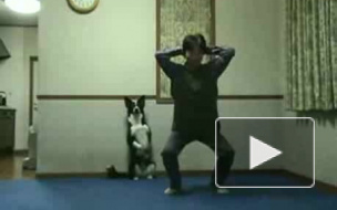 Совместная зарядка)