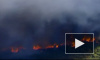 В Австралии сгорело 250 гектаров леса