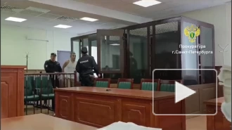 Петербуржца приговорили к 9 годам колонии за убийство в Новый год