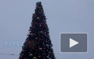 В Петербурге начали устанавливать новогодние ёлки