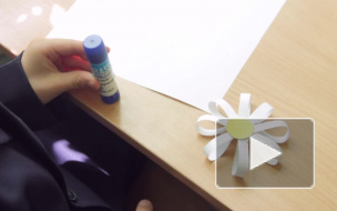 Тысячи белых цветов спасут жизни смертельно больных детей