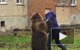 В Таганроге вместо собак во дворе дома выгуливали медведя