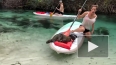 Видео: хитрый енот обокрал туристку во Флориде