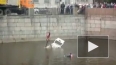 Легковушка с водителем рухнула в Обводный канал