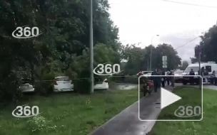 Дерево упало на автомобили в Москве