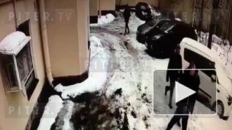 Драка студентов Военмеха из-за девушки закончилась стрельбой