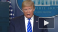 Трамп предложил лечить коронавирус при помощи солнечного ...