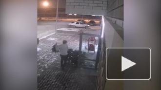 Житель Тюмени украл новогоднюю елку из салона красоты