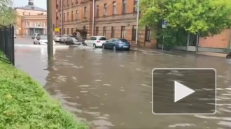 Треть месячной нормы осадков выпала в Петроградском районе Петербурга