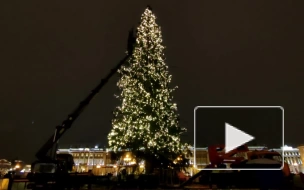 Каждому второму петербуржцу нравится елка на Дворцовой площади